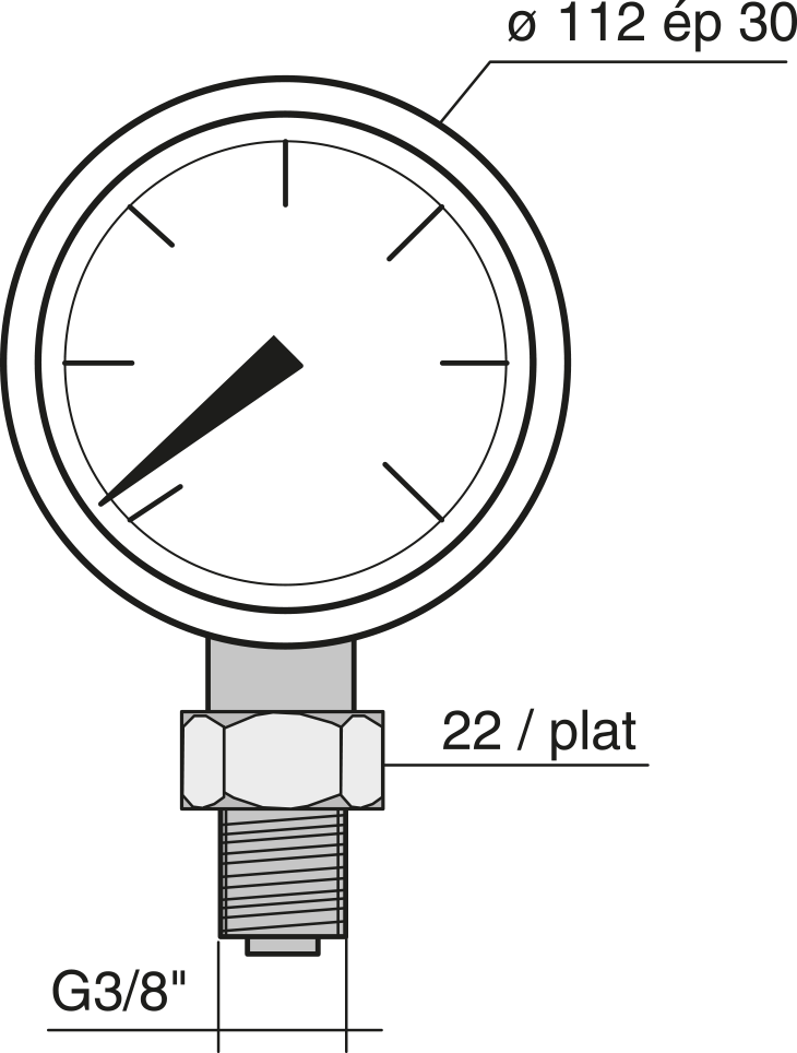 Manomètre ø 100 – 700 bar : Pompes à main 700 bar - Quiri - 2