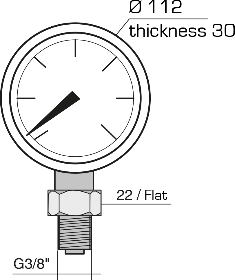 ø 100 pressure gauge – 700 bar : Hydraulic hand pumps 700 bar - Quiri - 2