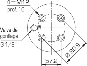 RGT 6600 : RESSORTS A GAZ GRANDE FORCE RGT - Quiri - 5